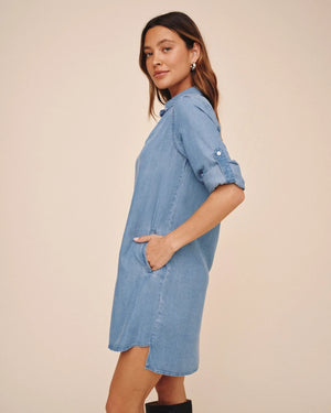 Bella Dahl Long Sleeve A Line Dress