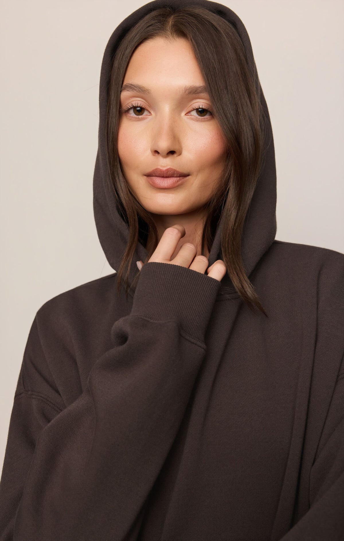 Z Supply First Quarter Hoodie in Cocoa Bean