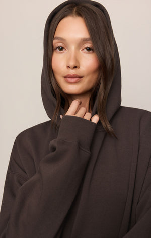 Z Supply First Quarter Hoodie in Cocoa Bean