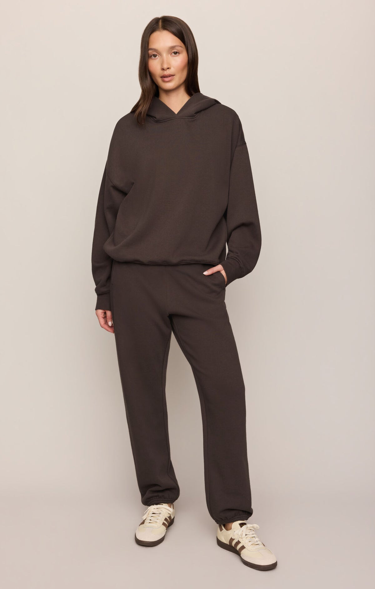 Z Supply First Quarter Hoodie in Cocoa Bean