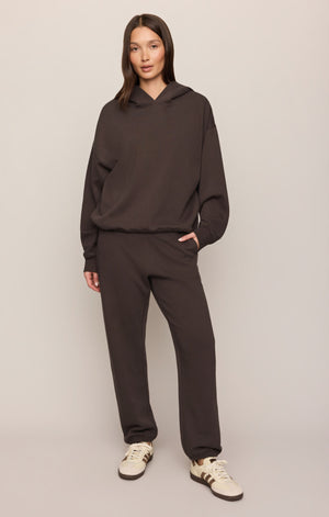Z Supply First Quarter Hoodie in Cocoa Bean
