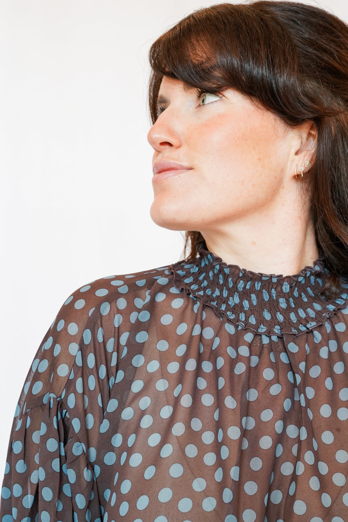 Emmy_Polka_Dot_Sheer_Mock Neck_Top_in_Brown