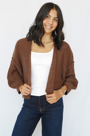 Aden Sweater in Chocolate
