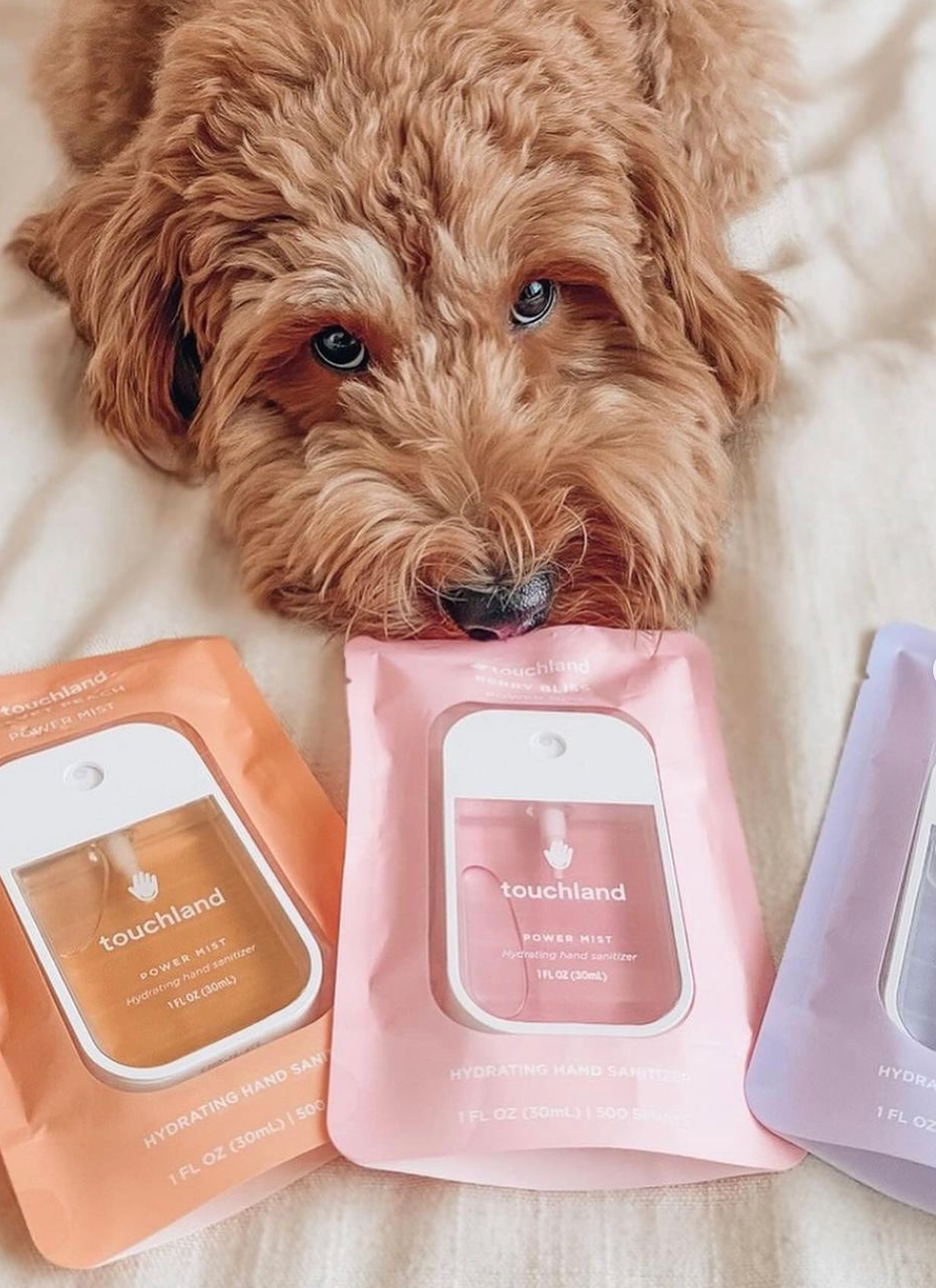 Touchland Hand Sanitizer Spray