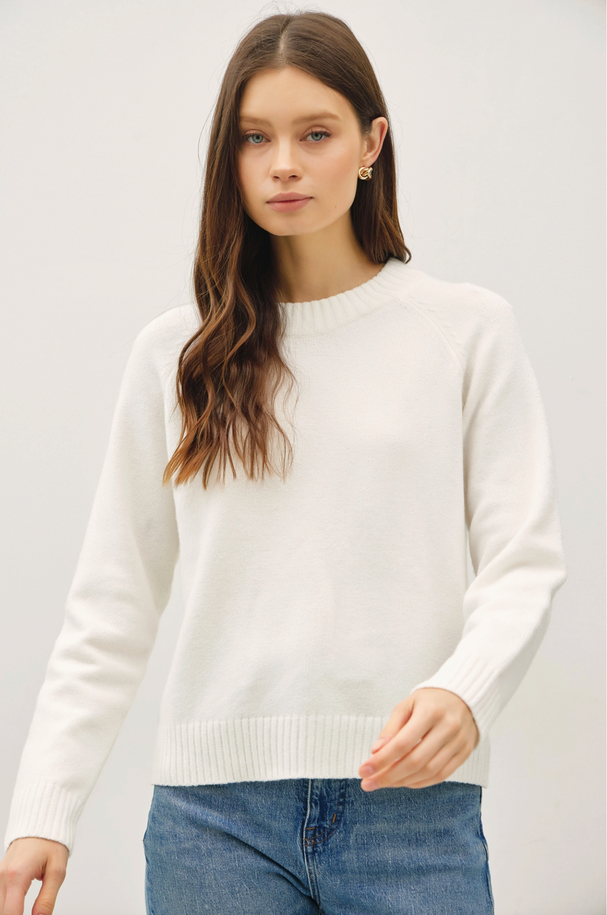 Wool Blend Classic Crewneck Sweater Top