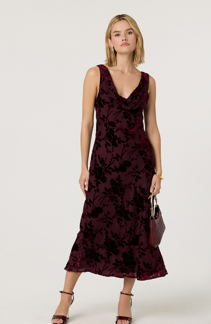 Astr the Label Floris Dress in Wine