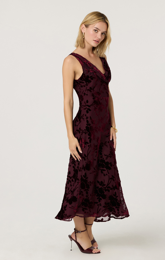 Astr the Label Floris Dress in Wine