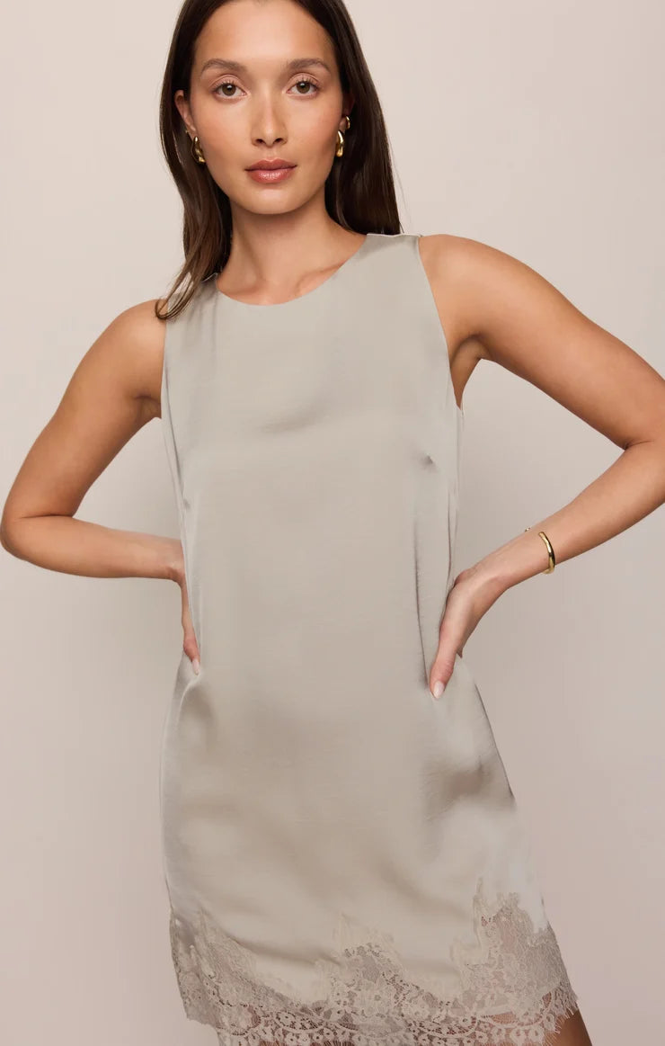 Z Supply Meadow Muse Lace Mini Dress