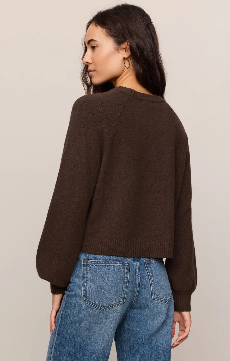 Z Supply Coming Up Sweater in Dark Chocolate