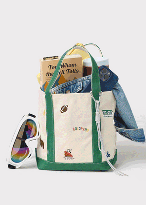 Colorado Icons Small Tote