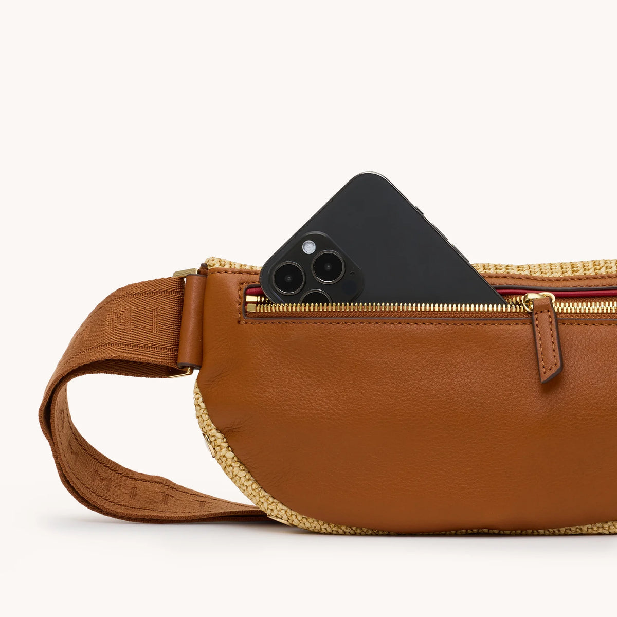 Hammitt Charles Medium Crossbody in Raffia with Gold