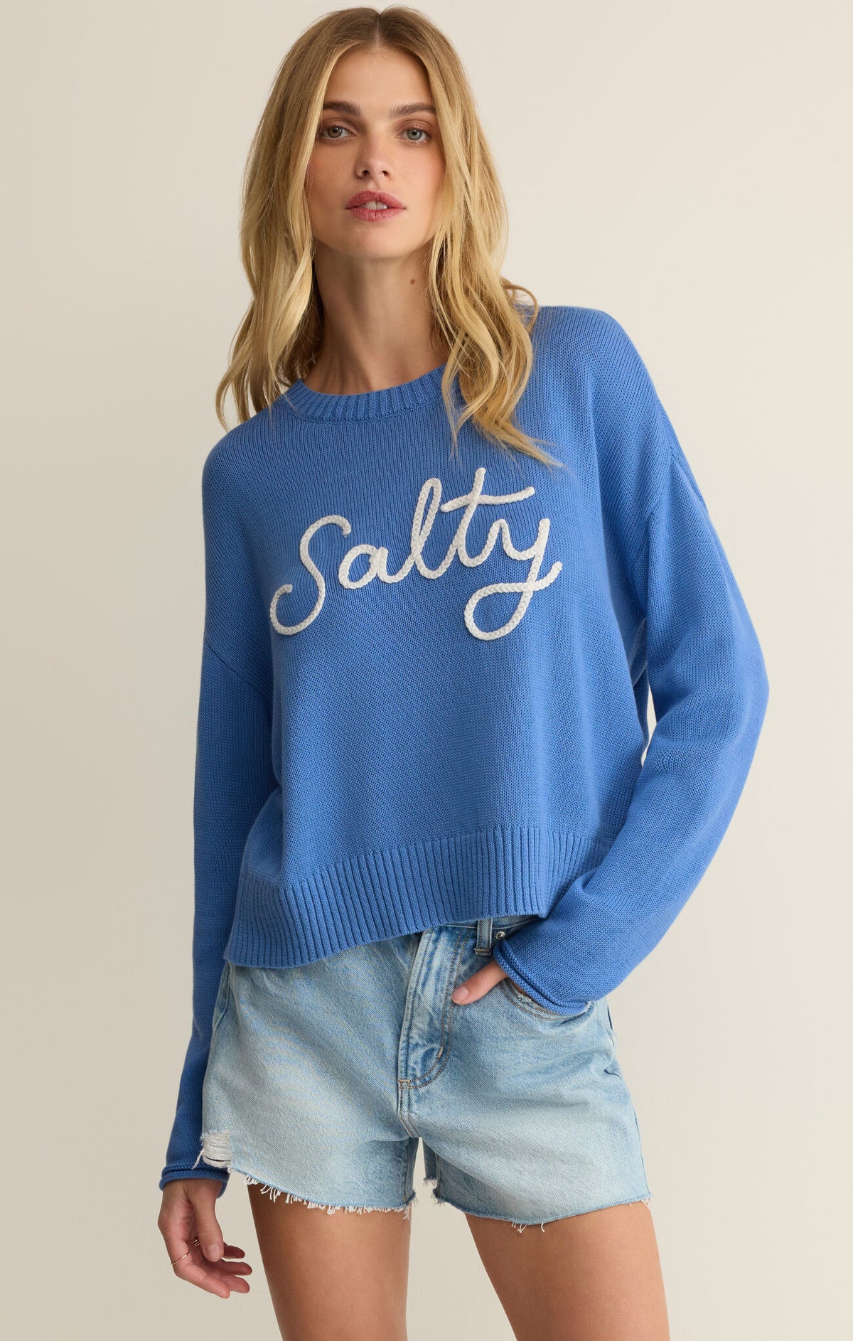Z Supply Sienna Salty Marina Sweater
