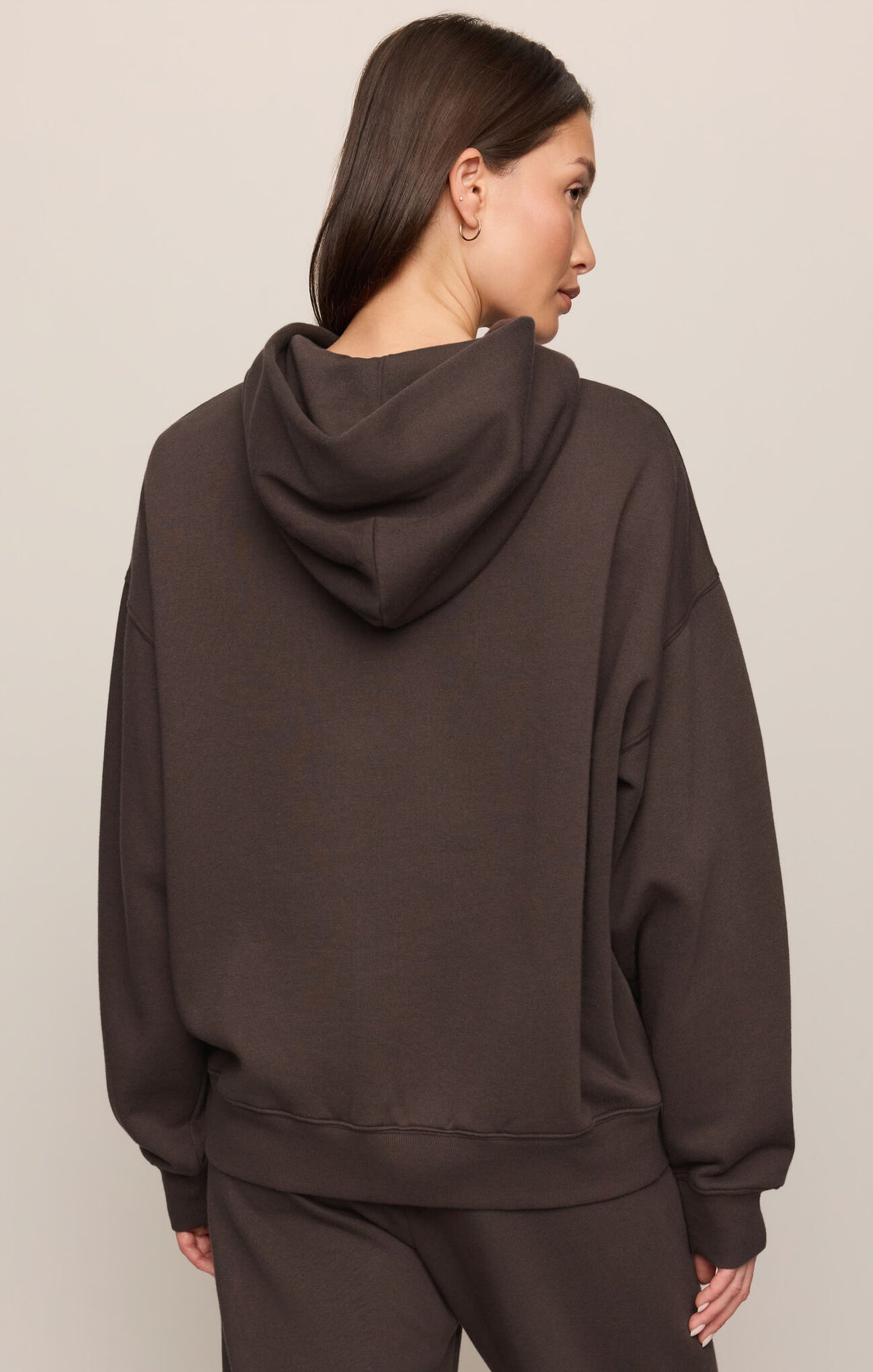 Z Supply First Quarter Hoodie in Cocoa Bean