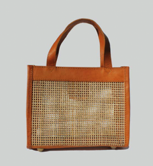 Praba Mini Tote-2 Colors